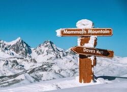 Location widget mammoth